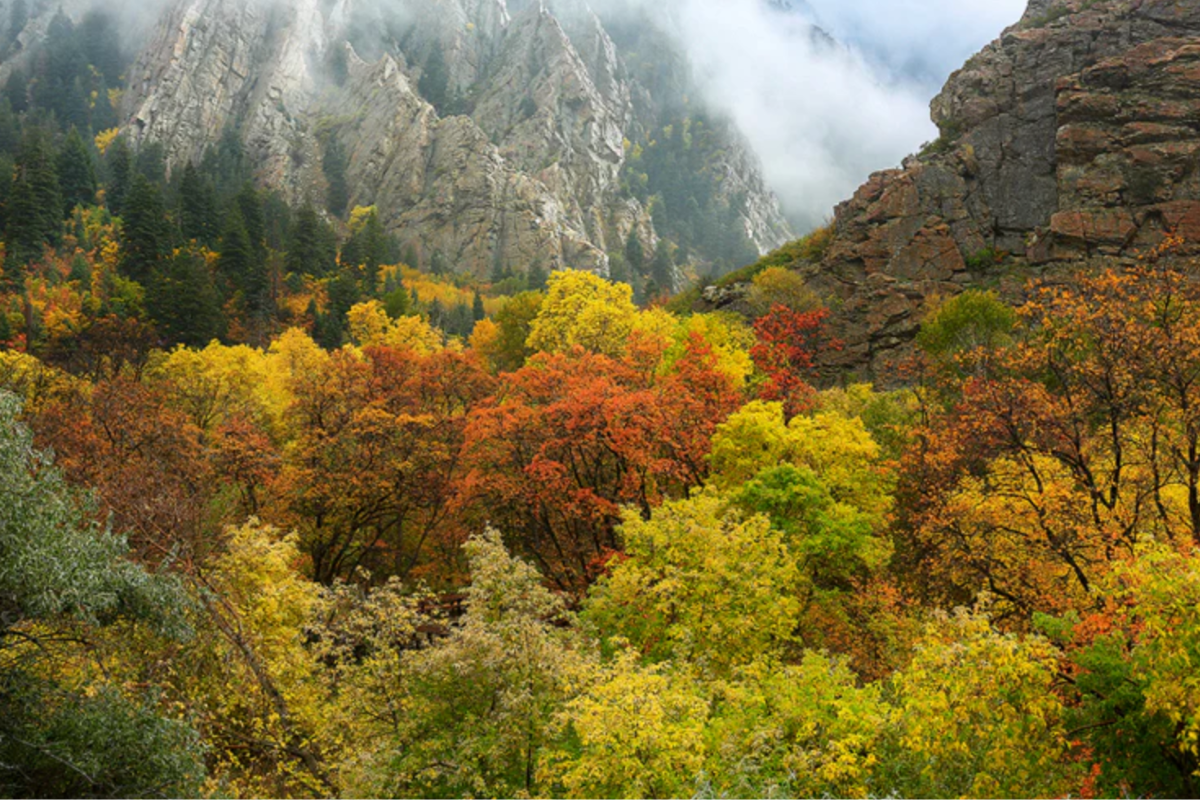 Fall Adventures in Utah: A Local's Guide to Magical Memories