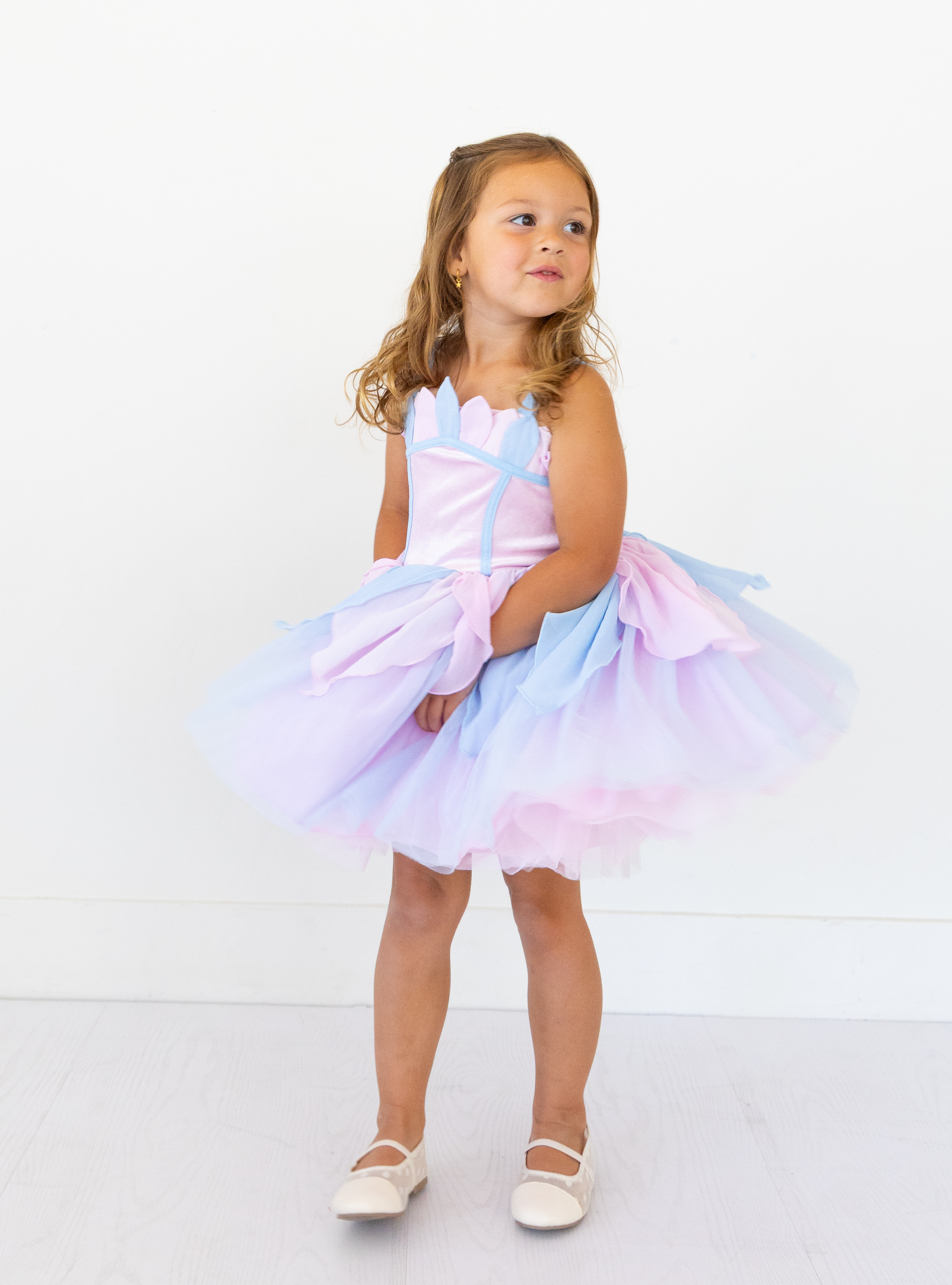 The Swan Lake Tutu Dress