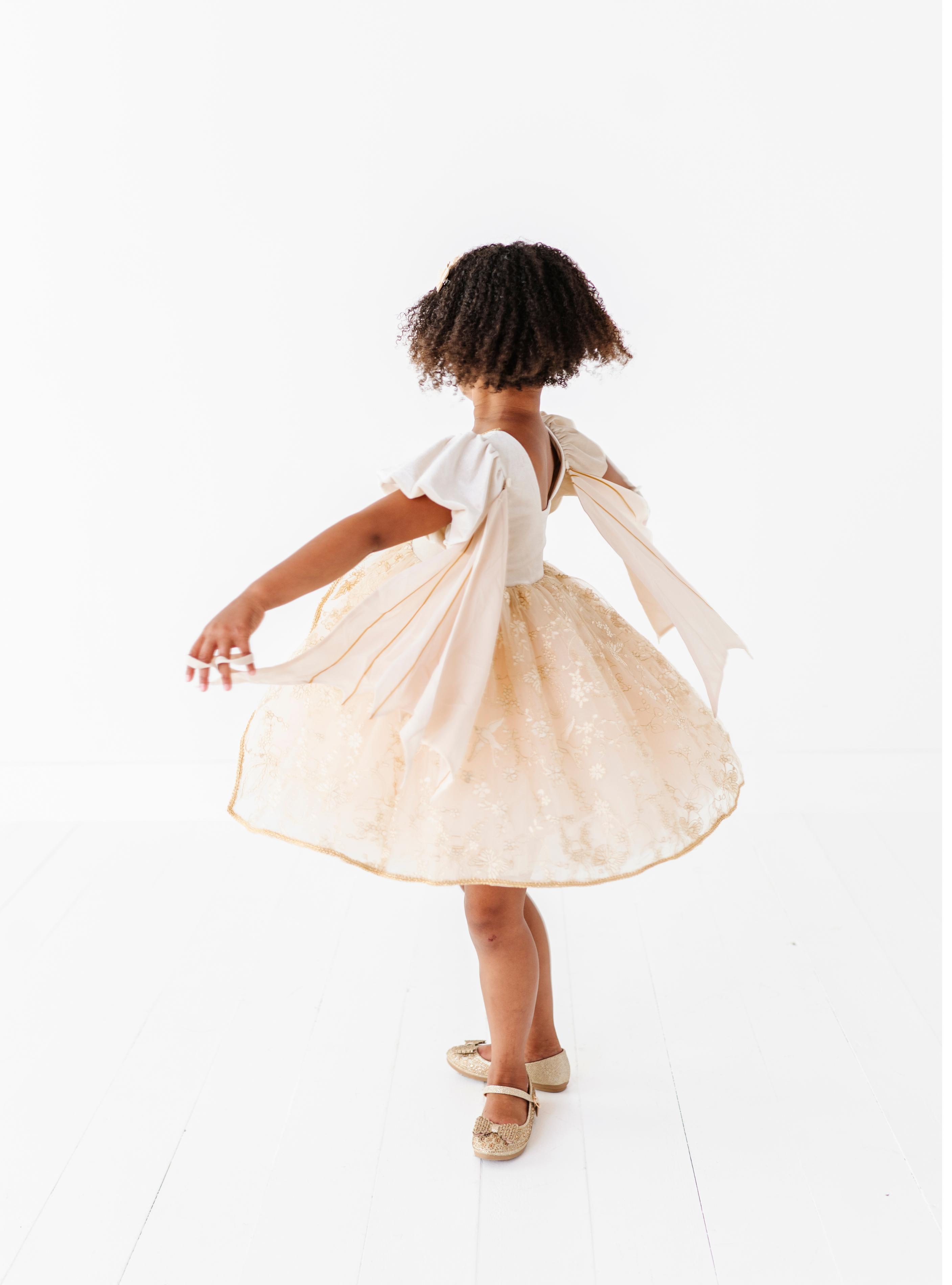 The Enchanted Butterfly Dress