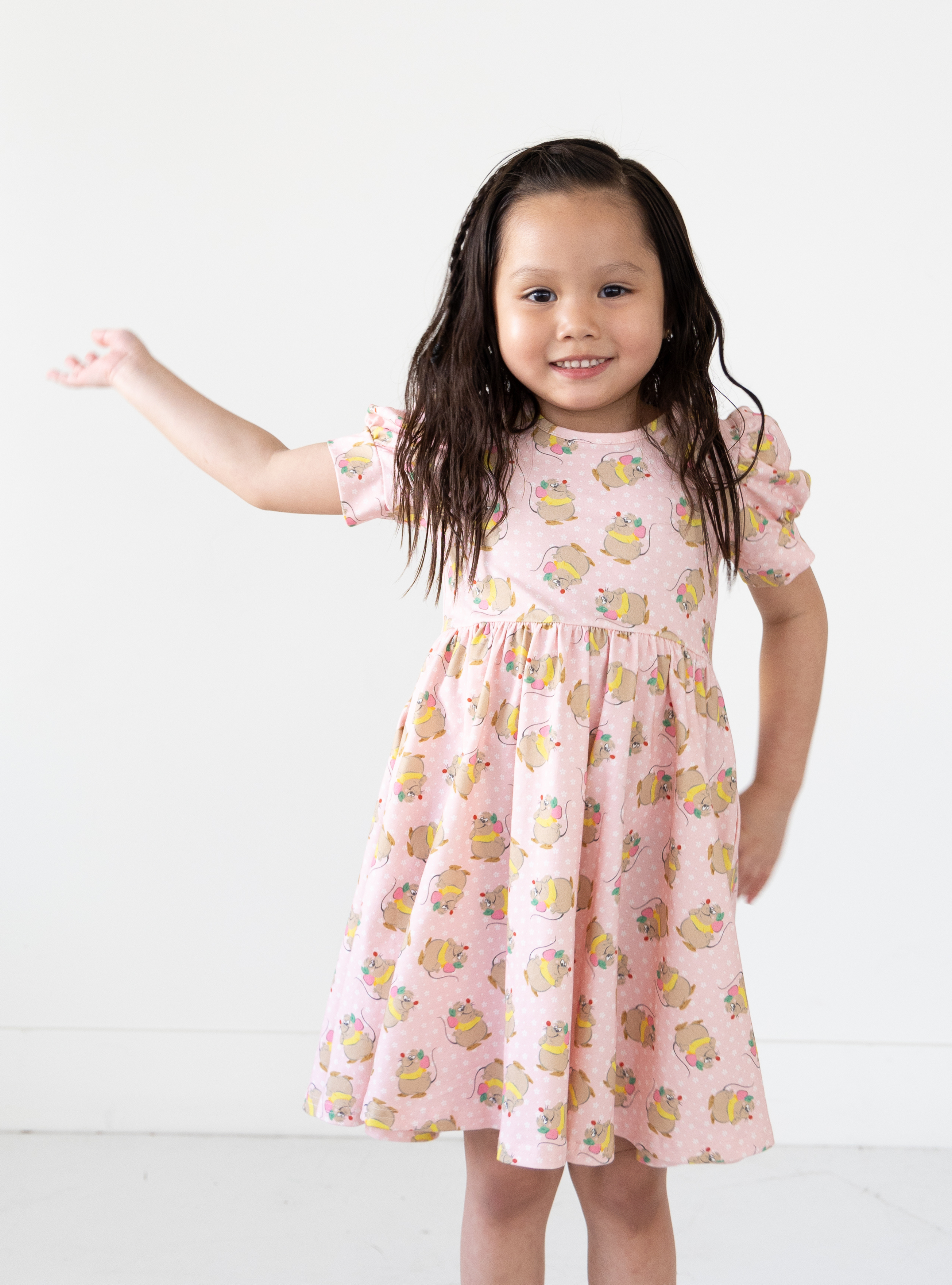 Disney and Taylor Joelle branded Gus Gus Dress with Gus Gus printed all around. This dress is detailed with puff sleeves.