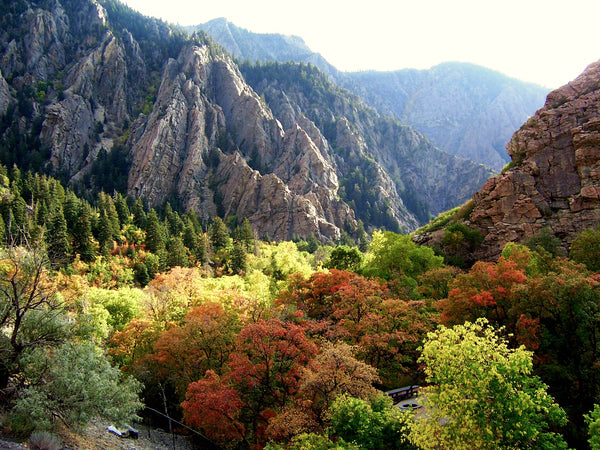 Fall Adventures in Utah: A Local's Guide to Magical Memories