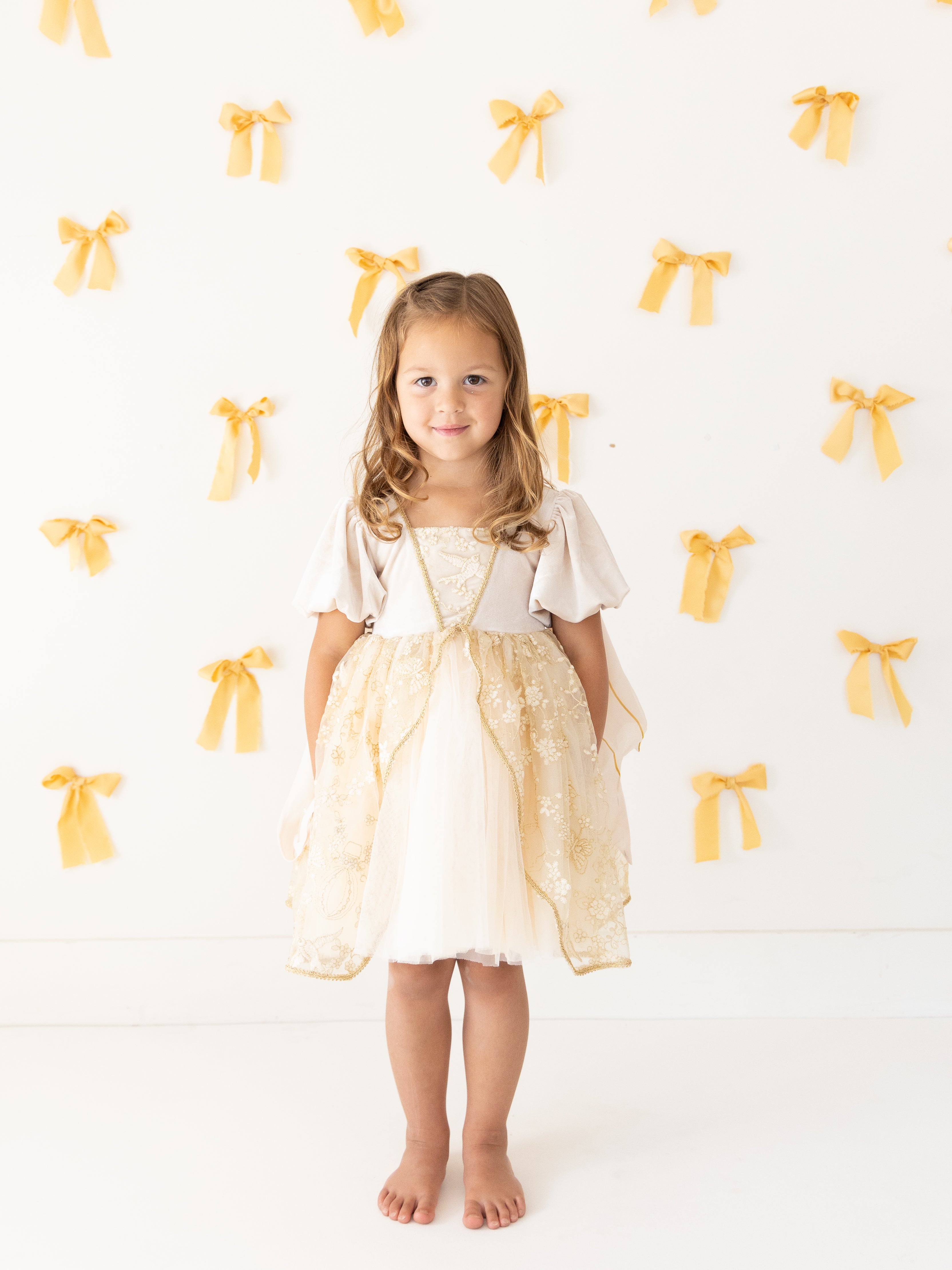 The Enchanted Butterfly Dress