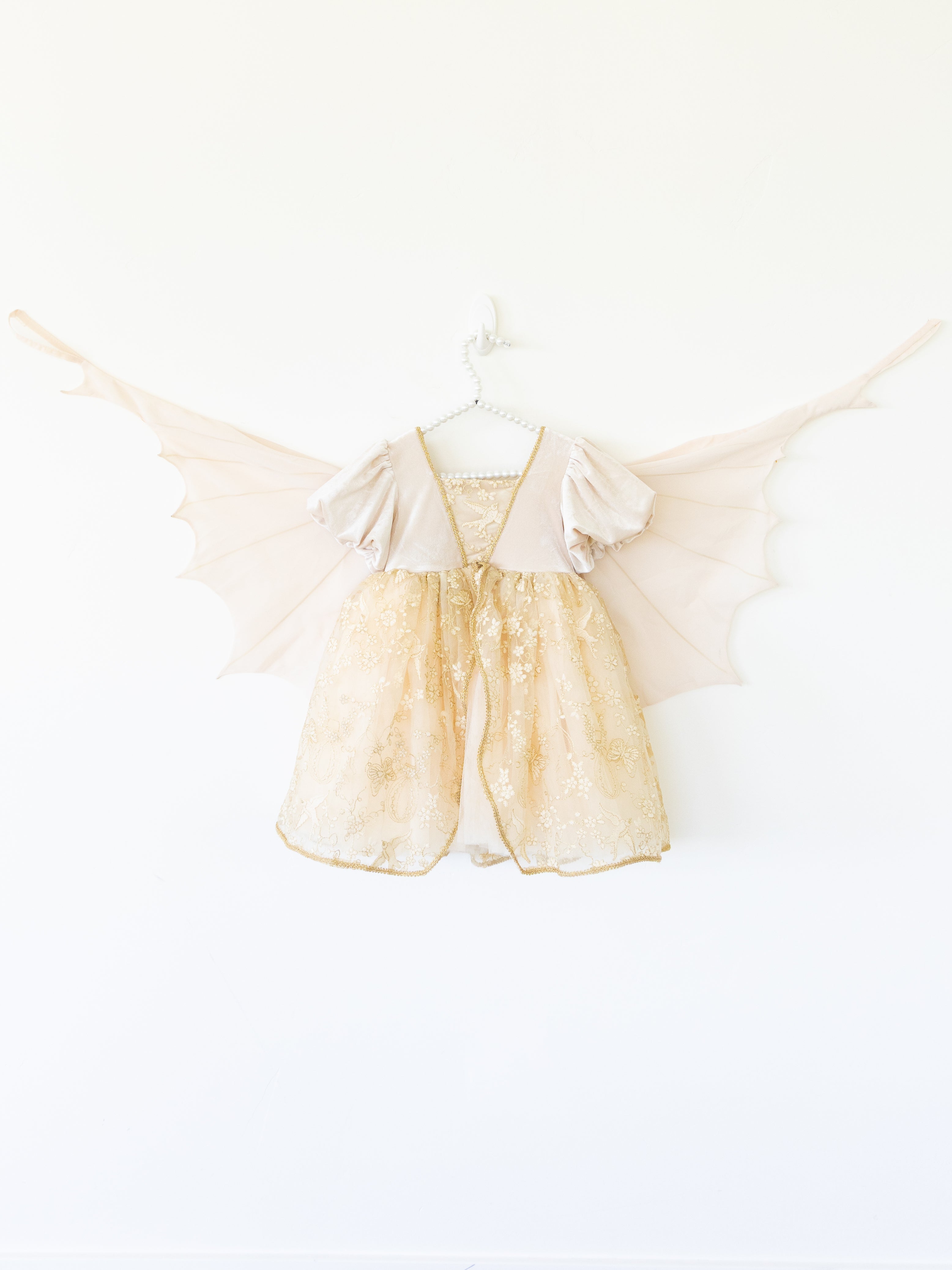 The Enchanted Butterfly Dress