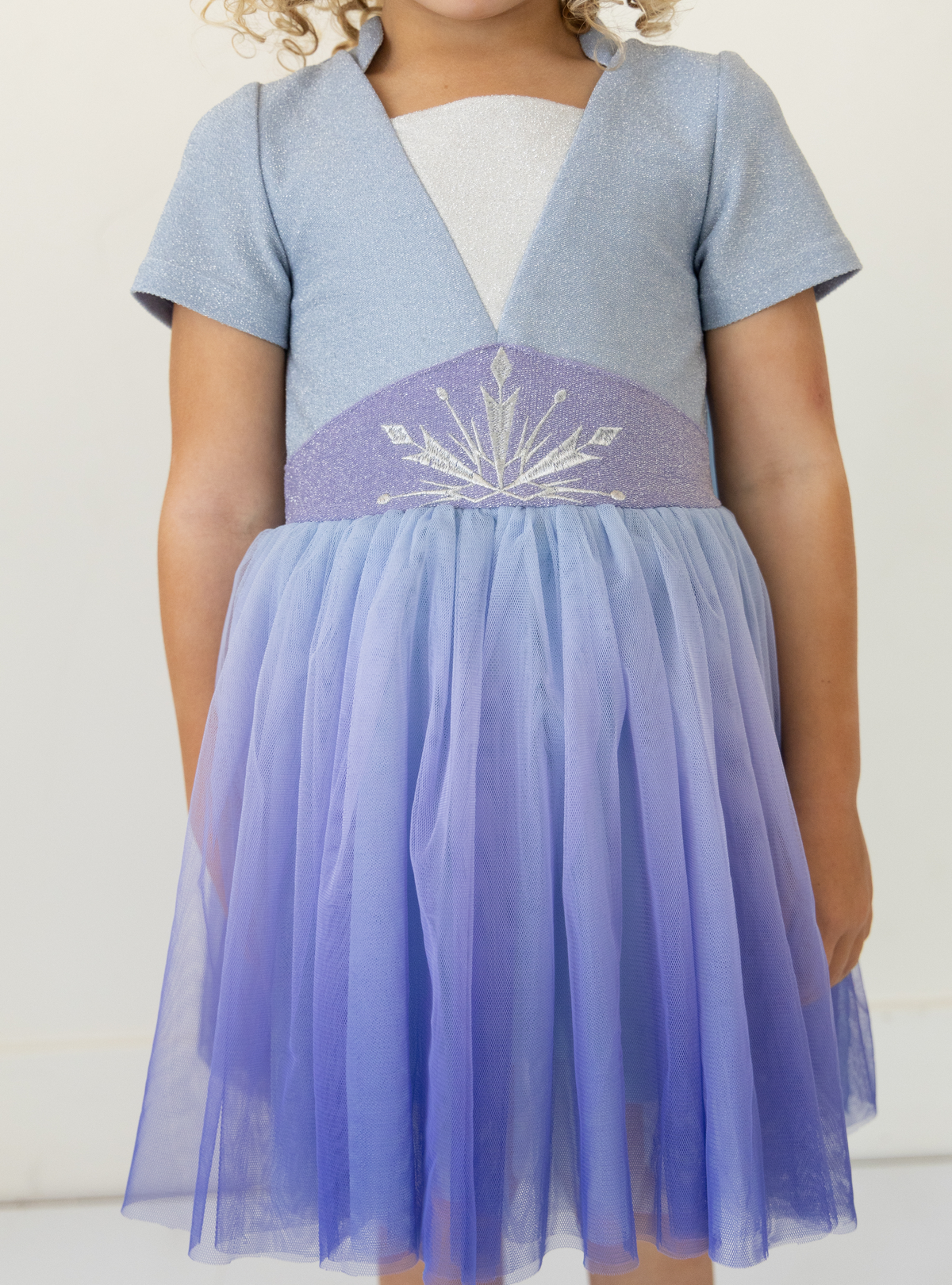 Disney Frozen 2 Elsa Isolation Dress