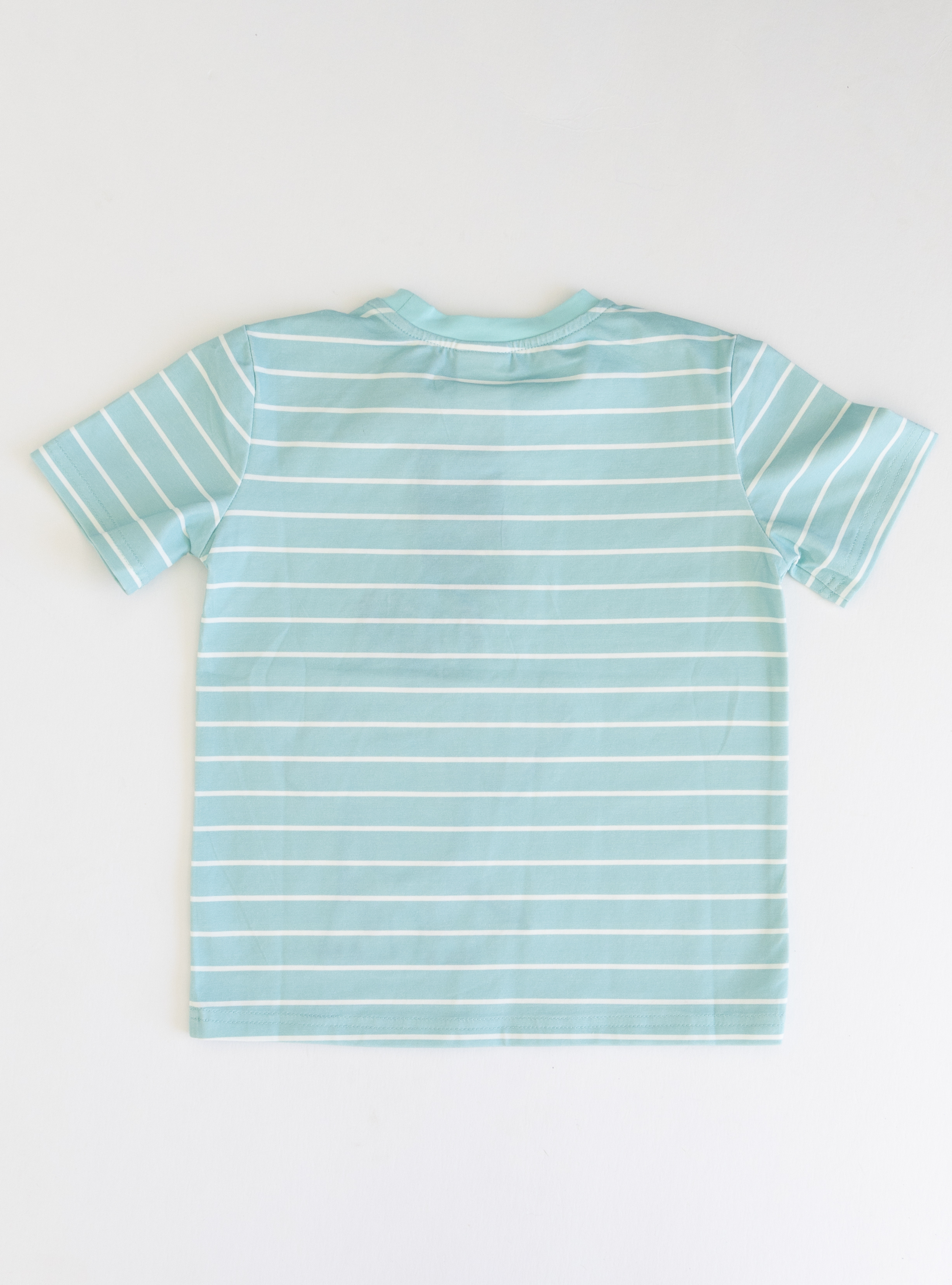 PREORDER - Disney and Pixar Monsters Inc. Sulley Unisex Tee