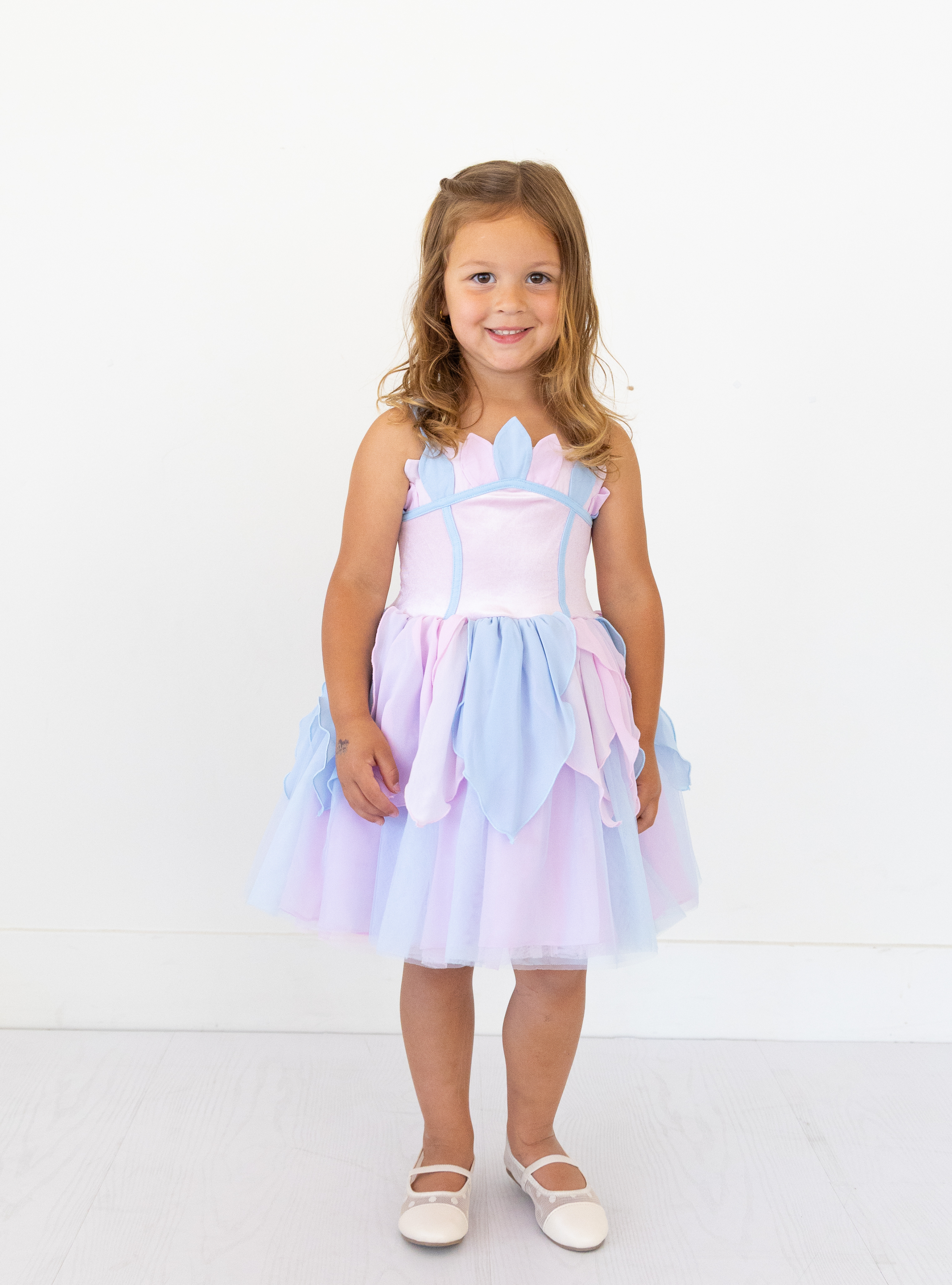 The Swan Lake Tutu Dress