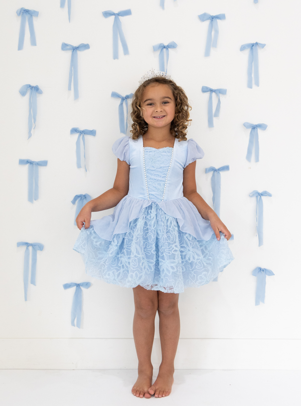 Disney Cinderella Velvet Tutu Dress