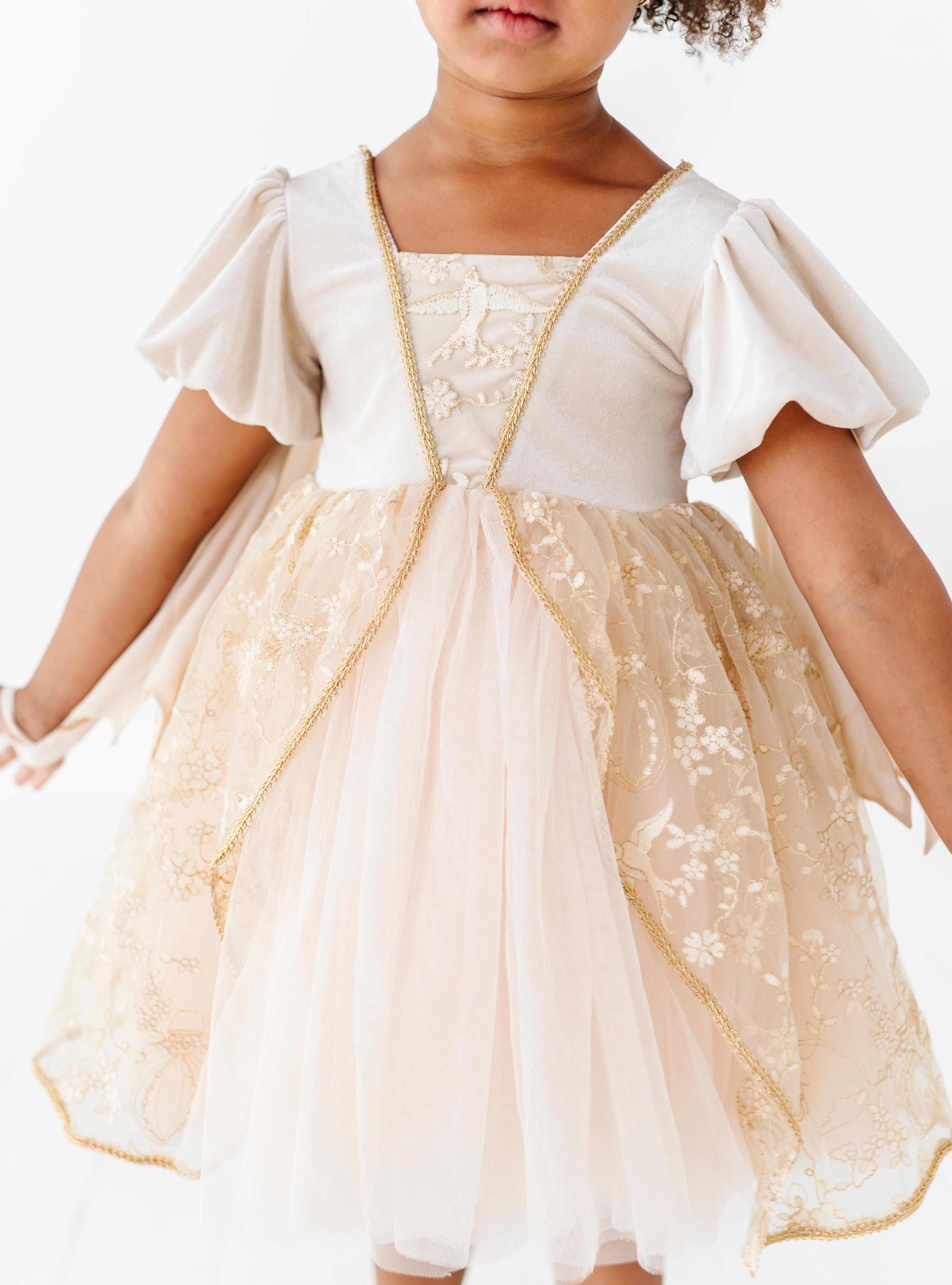 The Enchanted Butterfly Dress