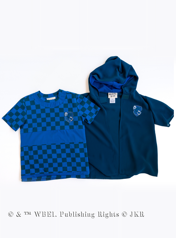 Ravenclaw™ Quidditch Set