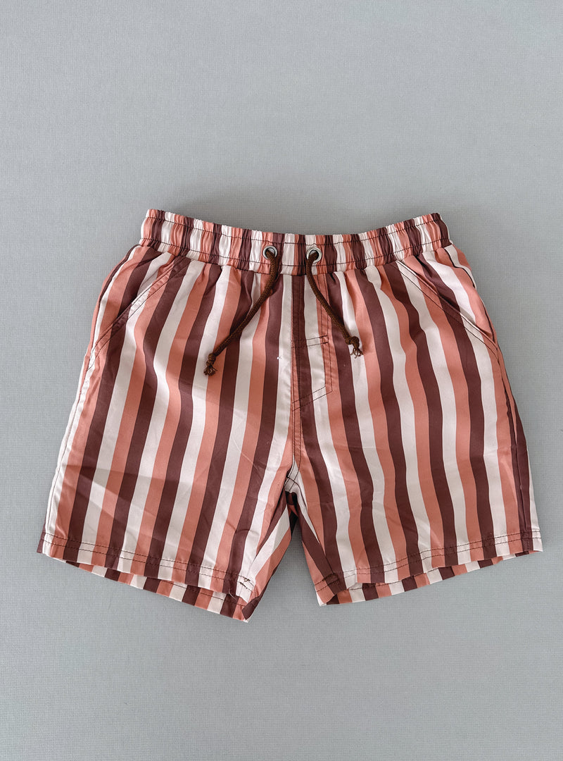 Earthy Stripe Shorts